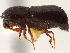  ( - CCDB-30438-C01)  @11 [ ] CreativeCommons - Attribution (2018) CBG Photography Group Smithsonian Institution
