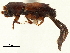  ( - CCDB-30438-C05)  @11 [ ] CreativeCommons - Attribution (2018) CBG Photography Group Smithsonian Institution