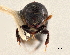  ( - CCDB-30438-C06)  @11 [ ] CreativeCommons - Attribution (2018) CBG Photography Group Smithsonian Institution