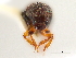  ( - CCDB-30438-C07)  @11 [ ] CreativeCommons - Attribution (2018) CBG Photography Group Smithsonian Institution