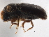  ( - CCDB-30438-C12)  @11 [ ] CreativeCommons - Attribution (2018) CBG Photography Group Smithsonian Institution