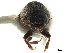  ( - CCDB-30438-D02)  @11 [ ] CreativeCommons - Attribution (2018) CBG Photography Group Smithsonian Institution