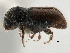  ( - CCDB-30438-D02)  @11 [ ] CreativeCommons - Attribution (2018) CBG Photography Group Smithsonian Institution