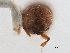  ( - CCDB-30438-D09)  @11 [ ] CreativeCommons - Attribution (2018) CBG Photography Group Smithsonian Institution