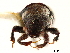  ( - CCDB-30438-E03)  @11 [ ] CreativeCommons - Attribution (2018) CBG Photography Group Smithsonian Institution