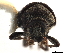  ( - CCDB-30438-E04)  @11 [ ] CreativeCommons - Attribution (2018) CBG Photography Group Smithsonian Institution