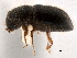  ( - CCDB-30438-E06)  @11 [ ] CreativeCommons - Attribution (2018) CBG Photography Group Smithsonian Institution