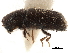  ( - CCDB-30438-E12)  @11 [ ] CreativeCommons - Attribution (2018) CBG Photography Group Smithsonian Institution