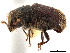  ( - CCDB-30438-G03)  @11 [ ] CreativeCommons - Attribution (2018) CBG Photography Group Smithsonian Institution