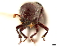  ( - CCDB-30438-G04)  @11 [ ] CreativeCommons - Attribution (2018) CBG Photography Group Smithsonian Institution