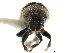  ( - CCDB-30438-G07)  @11 [ ] CreativeCommons - Attribution (2018) CBG Photography Group Smithsonian Institution