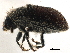  ( - CCDB-30438-G07)  @11 [ ] CreativeCommons - Attribution (2018) CBG Photography Group Smithsonian Institution