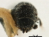  ( - CCDB-30438-H10)  @11 [ ] CreativeCommons - Attribution (2018) CBG Photography Group Smithsonian Institution