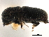  ( - CCDB-30438-H10)  @11 [ ] CreativeCommons - Attribution (2018) CBG Photography Group Smithsonian Institution