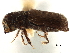  ( - CCDB-30440-A01)  @11 [ ] CreativeCommons - Attribution (2018) CBG Photography Group Smithsonian Institution