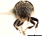  ( - CCDB-30440-B02)  @11 [ ] CreativeCommons - Attribution (2018) CBG Photography Group Smithsonian Institution