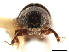  ( - CCDB-30440-B09)  @11 [ ] CreativeCommons - Attribution (2018) CBG Photography Group Smithsonian Institution