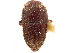  (Camptocerus auricomus - CCDB-30440-C03)  @11 [ ] CreativeCommons - Attribution (2018) CBG Photography Group Smithsonian Institution