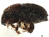  ( - CCDB-30440-C07)  @11 [ ] CreativeCommons - Attribution (2018) CBG Photography Group Smithsonian Institution
