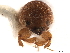  ( - CCDB-30440-D03)  @11 [ ] CreativeCommons - Attribution (2018) CBG Photography Group Smithsonian Institution