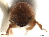 ( - CCDB-30440-D04)  @11 [ ] CreativeCommons - Attribution (2018) CBG Photography Group Smithsonian Institution