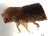  ( - CCDB-30440-D04)  @11 [ ] CreativeCommons - Attribution (2018) CBG Photography Group Smithsonian Institution