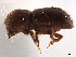  ( - CCDB-30440-D05)  @11 [ ] CreativeCommons - Attribution (2018) CBG Photography Group Smithsonian Institution