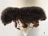  ( - CCDB-30440-E05)  @11 [ ] CreativeCommons - Attribution (2018) CBG Photography Group Smithsonian Institution
