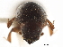  ( - CCDB-30440-F03)  @11 [ ] CreativeCommons - Attribution (2018) CBG Photography Group Smithsonian Institution