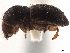  ( - CCDB-30440-F03)  @11 [ ] CreativeCommons - Attribution (2018) CBG Photography Group Smithsonian Institution