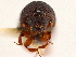  ( - CCDB-30440-F09)  @11 [ ] CreativeCommons - Attribution (2018) CBG Photography Group Smithsonian Institution