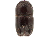  (Taurodemus ebenus - CCDB-30440-F10)  @11 [ ] CreativeCommons - Attribution (2018) CBG Photography Group Smithsonian Institution