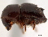  ( - CCDB-30440-F10)  @11 [ ] CreativeCommons - Attribution (2018) CBG Photography Group Smithsonian Institution