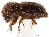  ( - CCDB-30440-F11)  @11 [ ] CreativeCommons - Attribution (2018) CBG Photography Group Smithsonian Institution