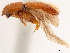 ( - CCDB-30440-G01)  @11 [ ] CreativeCommons - Attribution (2018) CBG Photography Group Smithsonian Institution