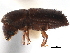  ( - CCDB-30440-G05)  @11 [ ] CreativeCommons - Attribution (2018) CBG Photography Group Smithsonian Institution