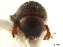  ( - CCDB-30440-G07)  @11 [ ] CreativeCommons - Attribution (2018) CBG Photography Group Smithsonian Institution