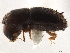  ( - CCDB-30440-G07)  @11 [ ] CreativeCommons - Attribution (2018) CBG Photography Group Smithsonian Institution