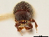  ( - CCDB-30440-G08)  @11 [ ] CreativeCommons - Attribution (2018) CBG Photography Group Smithsonian Institution