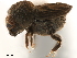  ( - CCDB-30440-G12)  @11 [ ] CreativeCommons - Attribution (2018) CBG Photography Group Smithsonian Institution