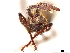  (Hyperephanus hirtellus - CCDB-30442-E06)  @11 [ ] CreativeCommons - Attribution (2018) CBG Photography Group Smithsonian Institution