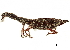  ( - CCDB-30444-A06)  @11 [ ] CreativeCommons - Attribution (2018) CBG Photography Group Smithsonian Institution