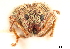  ( - CCDB-30444-A10)  @11 [ ] CreativeCommons - Attribution (2018) CBG Photography Group Smithsonian Institution