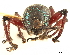  ( - CCDB-30444-B02)  @11 [ ] CreativeCommons - Attribution (2018) CBG Photography Group Smithsonian Institution