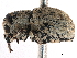  ( - CCDB-30444-B10)  @11 [ ] CreativeCommons - Attribution (2018) CBG Photography Group Smithsonian Institution