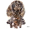  ( - CCDB-30444-B12)  @11 [ ] CreativeCommons - Attribution (2018) CBG Photography Group Smithsonian Institution