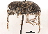  ( - CCDB-30444-C08)  @11 [ ] CreativeCommons - Attribution (2018) CBG Photography Group Smithsonian Institution