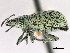  ( - CCDB-30444-D05)  @11 [ ] CreativeCommons - Attribution (2018) CBG Photography Group Smithsonian Institution