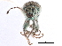  ( - CCDB-30444-E07)  @11 [ ] CreativeCommons - Attribution (2018) CBG Photography Group Smithsonian Institution