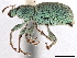  ( - CCDB-30444-E07)  @11 [ ] CreativeCommons - Attribution (2018) CBG Photography Group Smithsonian Institution